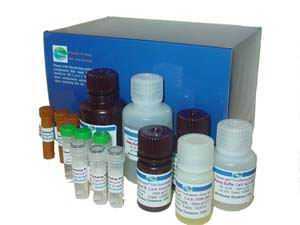 W0039-乳清酸/4-羧酸;6-羧酸/维生素B13/尿嘧啶-6-羧酸/1,2,3,6-四氢-2,6-二氧-4--上海博耀生物科技有限公司